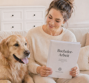 Lektorat Bachelorarbeit